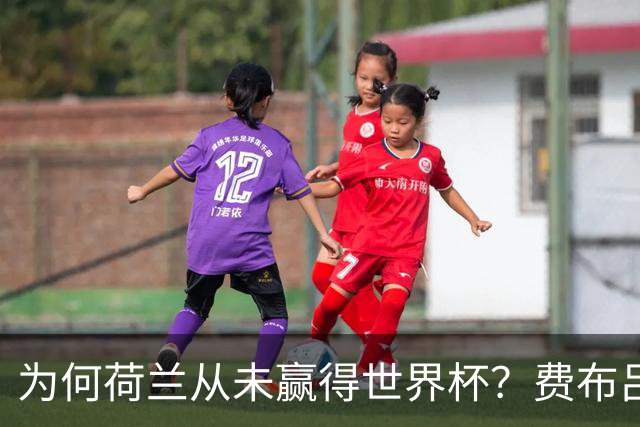 为何荷兰从未赢得世界杯？费布吕亨：因为我们进了决赛，没赢下来