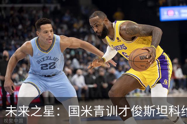 未来之星：国米青训才俊斯坦科维奇的抉择与挑战