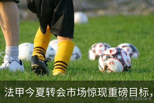 法甲今夏转会市场惊现重磅目标，阿根廷国脚铁卫巴列尔迪引发四大豪强争抢